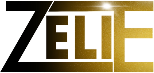 GROUPE DE MUSIQUE REGION SUD / VAR ZELIE